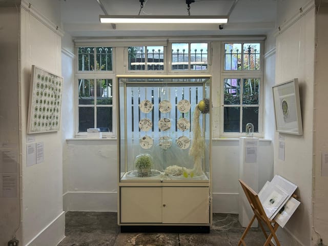 Work by Jane Corbett