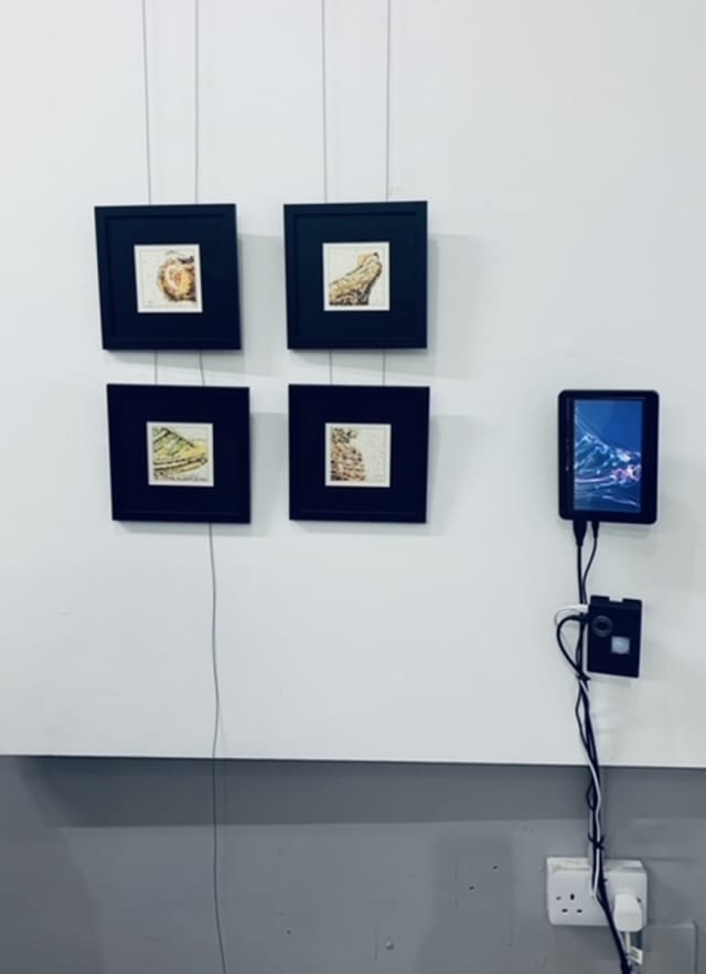 Quantum fruit in situ