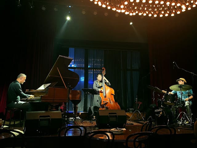 The Shonai Collective