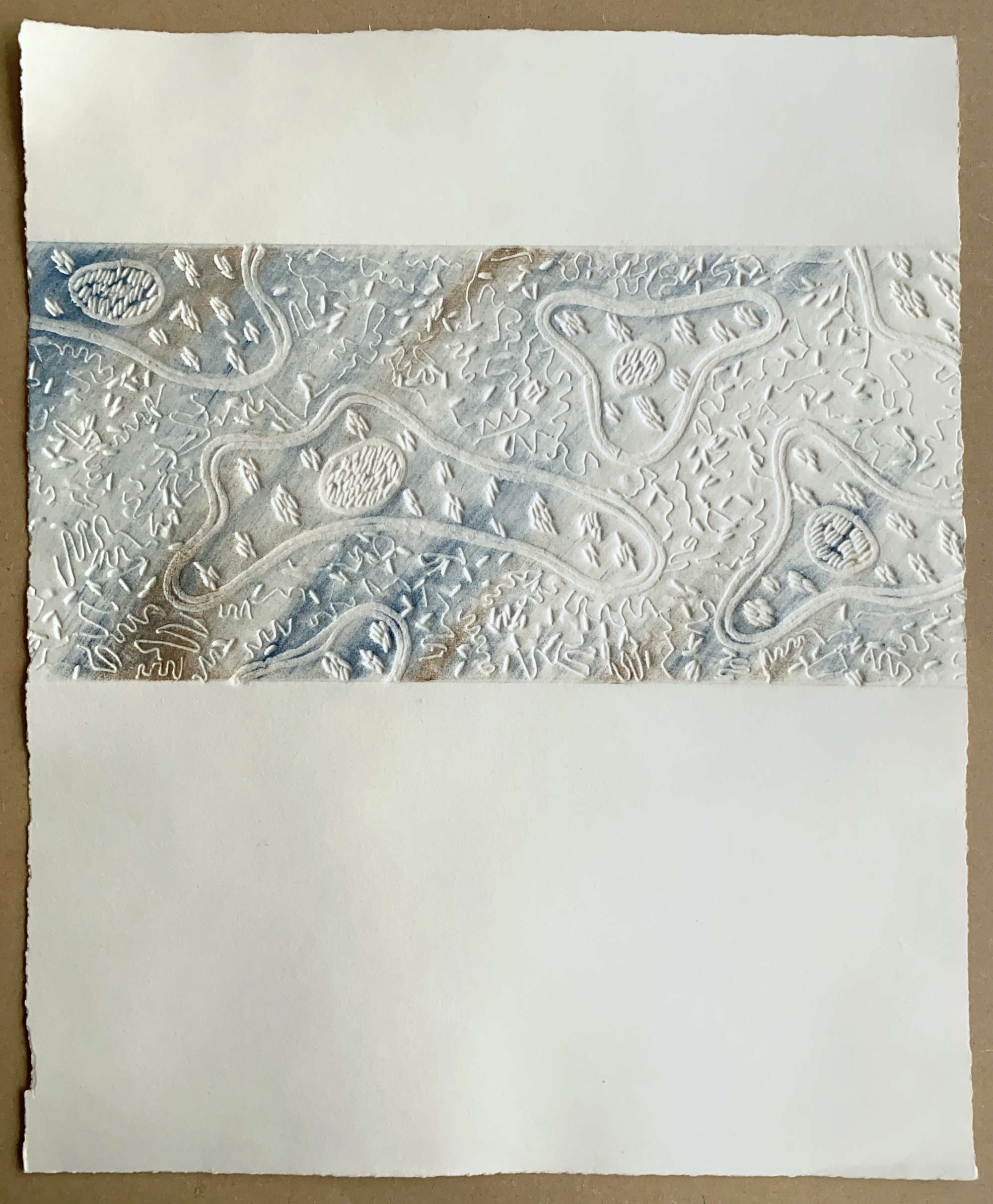 Bio#1: Blind collagraph and graphite on Awagami Hakuho, 425mm x 520mm