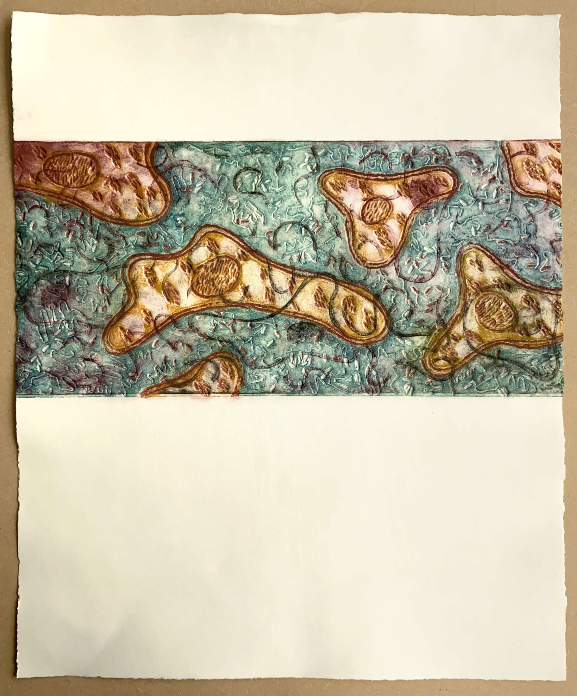 Bio#2: Collagraph on Awagami Hakuho, 425mm x 520mm