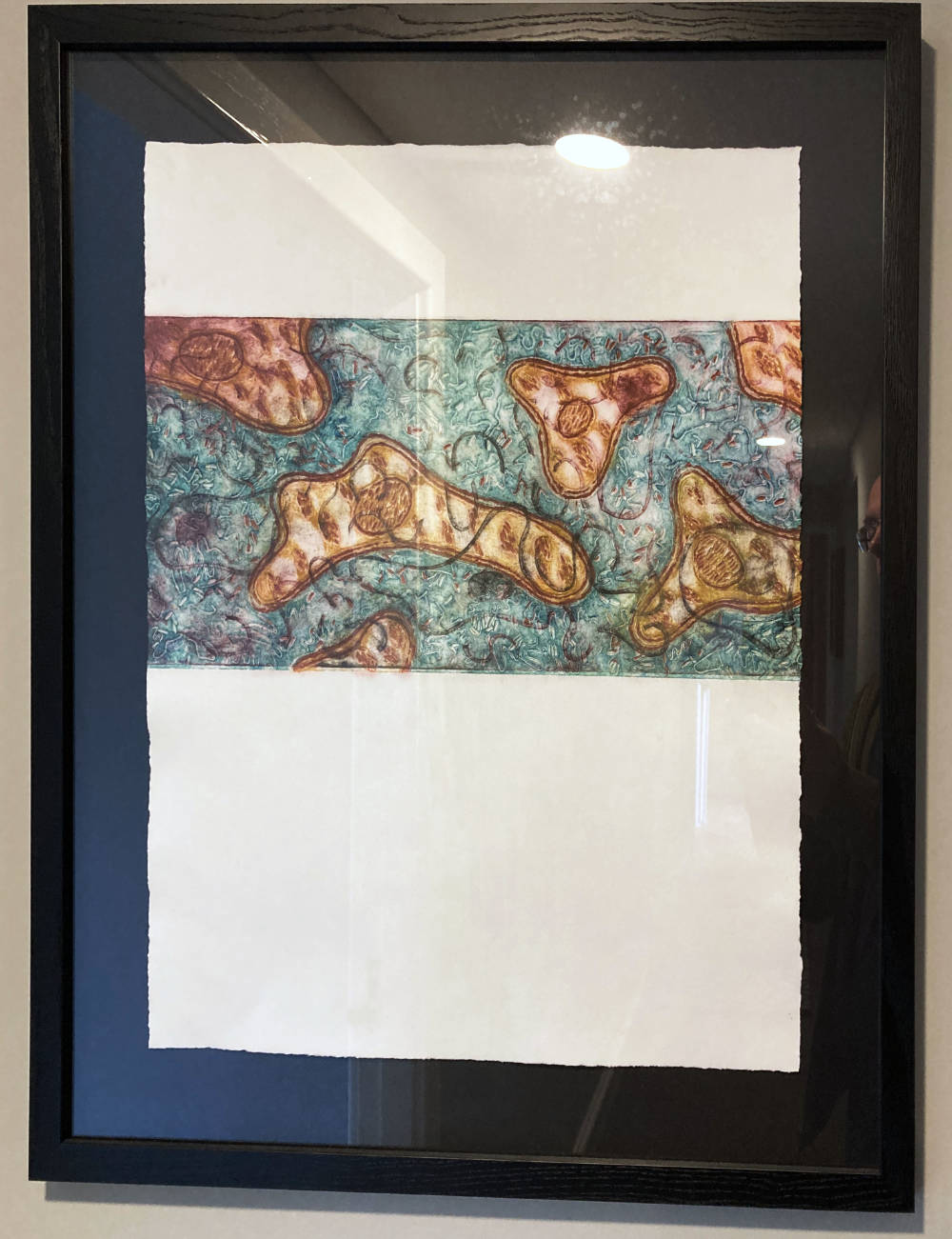 Bio#2 framed and hung in-situ